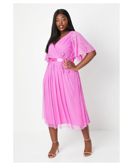 Coast Pink Plus Mesh Midi Dress With Lace Trims