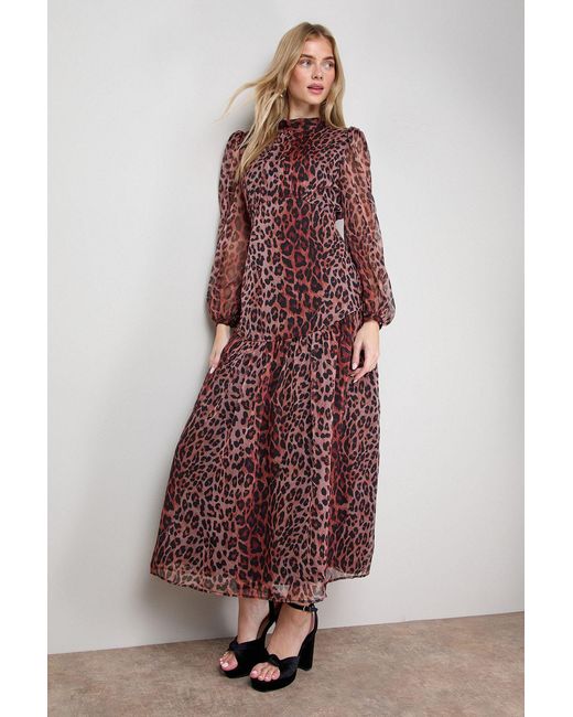 Oasis Purple Printed Dropped Curved Waist Long Sleeve Maxi Dress