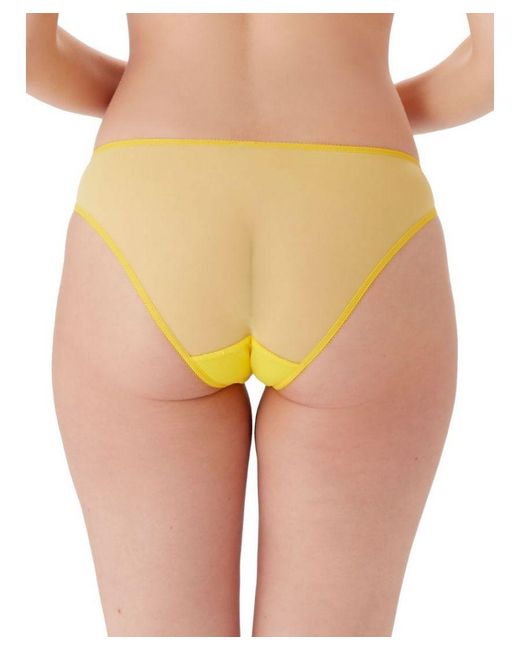 Gossard Yellow Glossies Lace Brief
