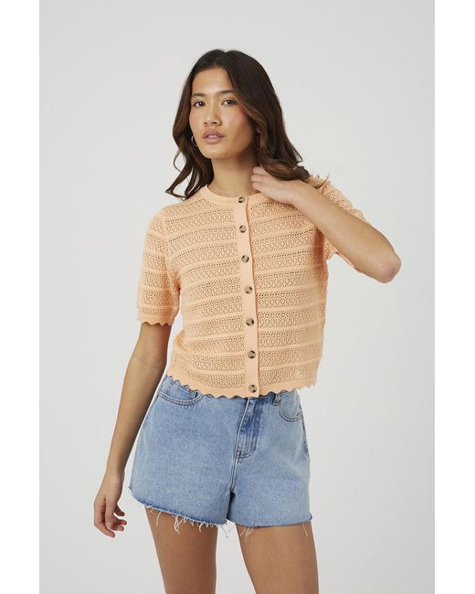 Brave Soul Blue Short Sleeve Stitch Detail Crew Neck Cardigan