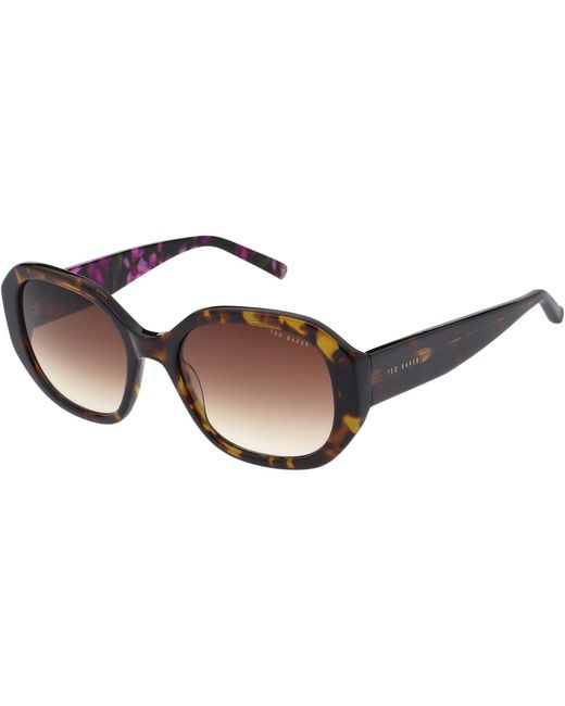 Ted Baker Brown Karoline Sunglasses for men