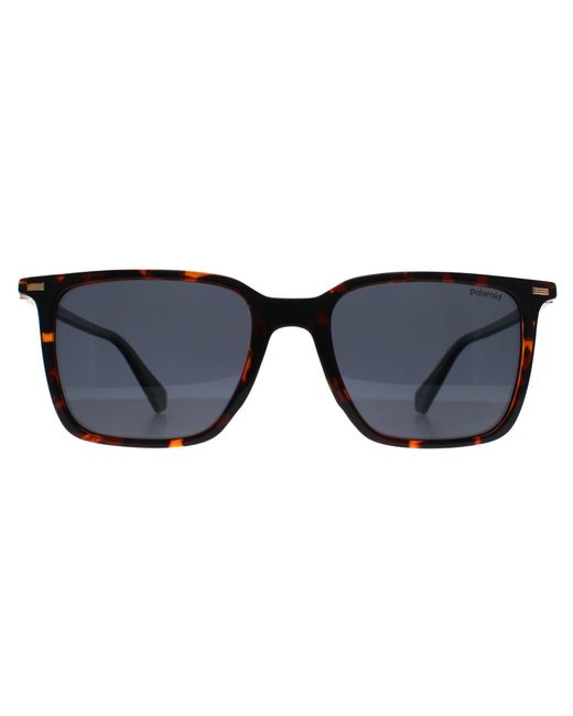 Polaroid Pld 4183/S/X 086 C3 Havanna Blau Polarisierte Sonnenbrille in Blue für Herren