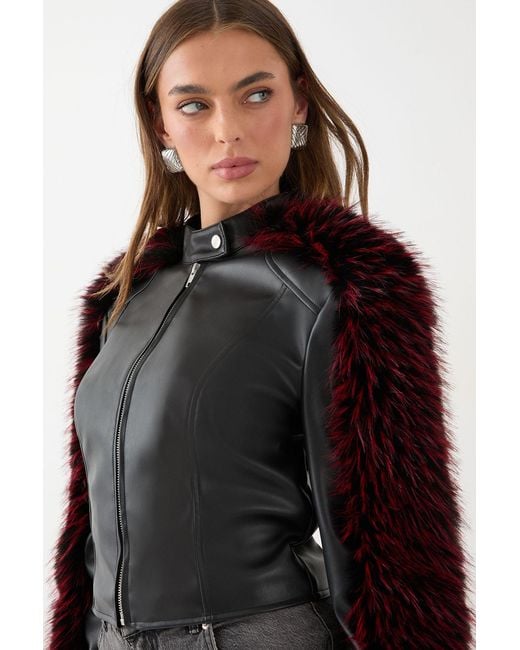 MissPap Black Premium Fur Sleeve Moto Jakcet