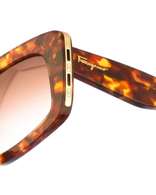 Ferragamo Brown Square Shaped Acetate Sunglasses Sf1024S
