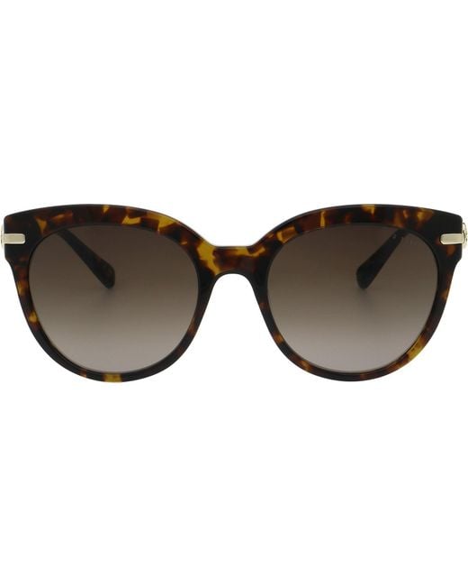 Ted Baker Brown Layla Sunglasses for men