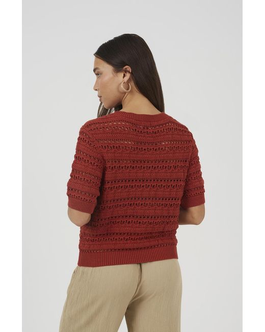 Brave Soul Red Amber Short Sleeve Pointelle Knit Crew Neck Cardigan