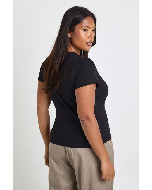 Boohoo Blue Plus Basic Rib Scoop Neck Fitted Short Sleeve Top
