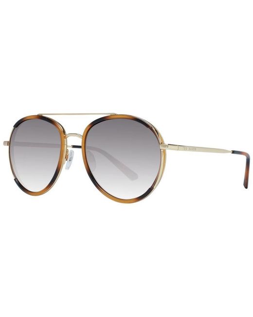 Ted Baker Brown Gradient Aviator Sunglasses for men