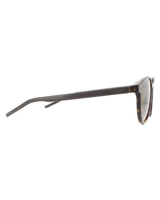 Boss Brown Hugo Boss By Round Havana Sunglasses for men