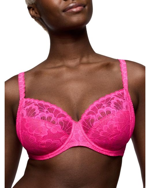 Primadonna Pink Mocuto Full Cup Bra Pixie Blossom