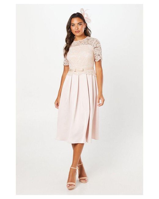 Coast White Lace And Crepe Full Skirted Midi Dress