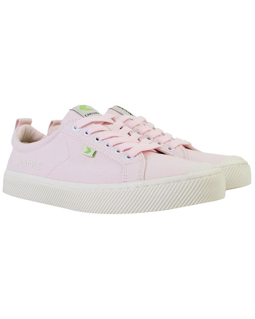 CARIUMA Pink Oca Low Pantone Plimsolls