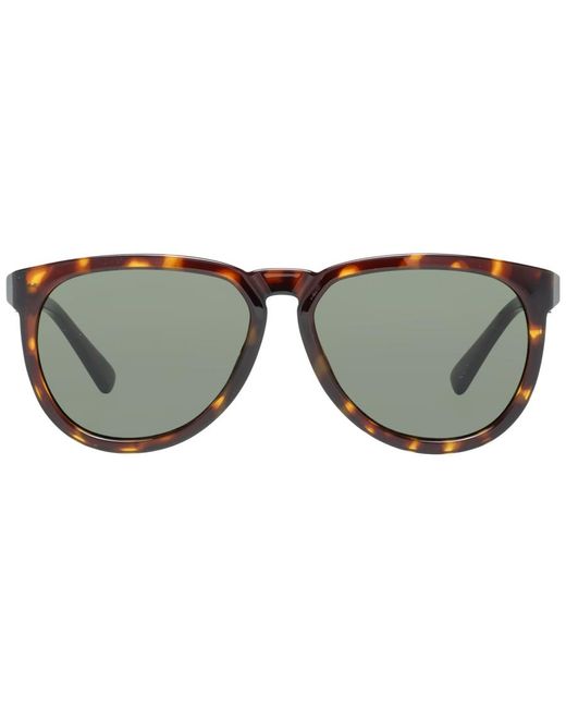 DIESEL Brown Oval Dark Havana Sunglasses