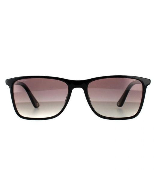 Police Brown Rectangle Shiny Smoke Gradient Polarized Sunglasses for men