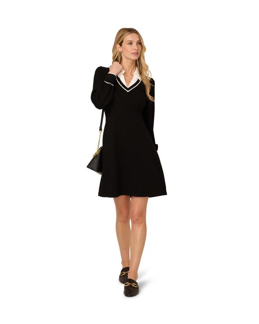 Adrianna Papell Black V-Neck Long Sleeve Sweater Dress With Contrast Tipping