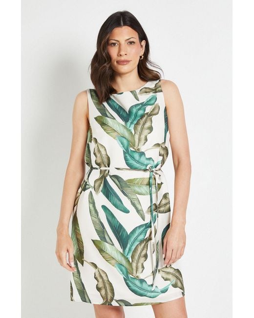 Wallis Green Leaf Print Belted Shift Dress