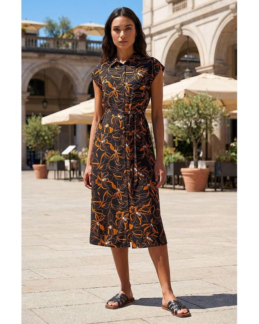 Roman Brown Floral Belted Midi Shirt Dress