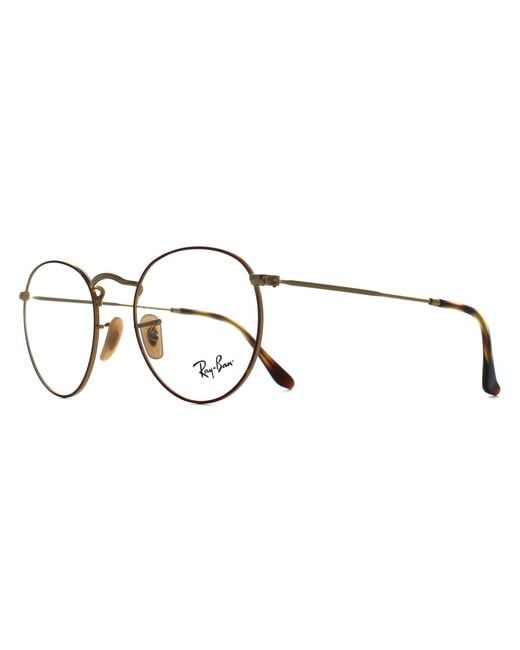 Ray-Ban Brown Round Polished Havana On Rx3447V Metal