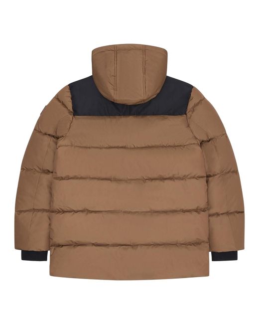 Reebok Effen Blazerjack (Hout) in het Brown voor heren