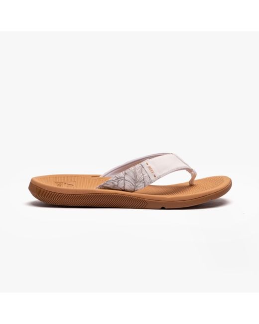Reef Brown Santa Ana Flip-Flops Cloud