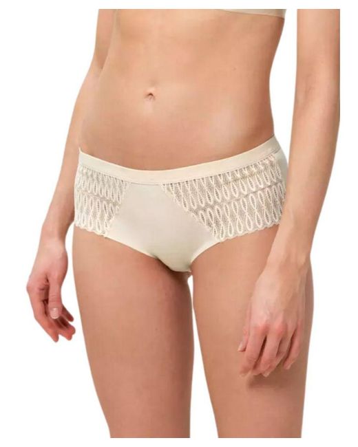 Triumph Natural Aura Spotlight Maxi Brief