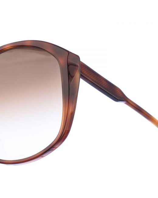 Victoria Beckham Brown Acetate Sunglasses With Oval Shape Vb629S