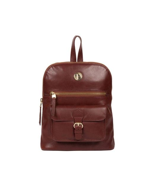 Pure Luxuries Brown 'Zinnia' Chestnut Leather Backpack