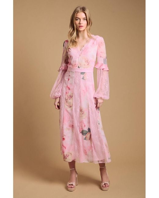 Oasis Pink Lace Panel Midi Dress