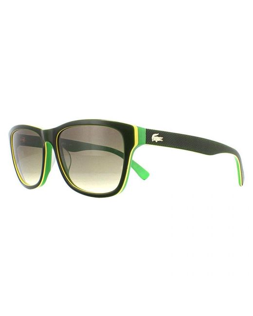 Lacoste Brown Classic Rectangle Sunglasses for men