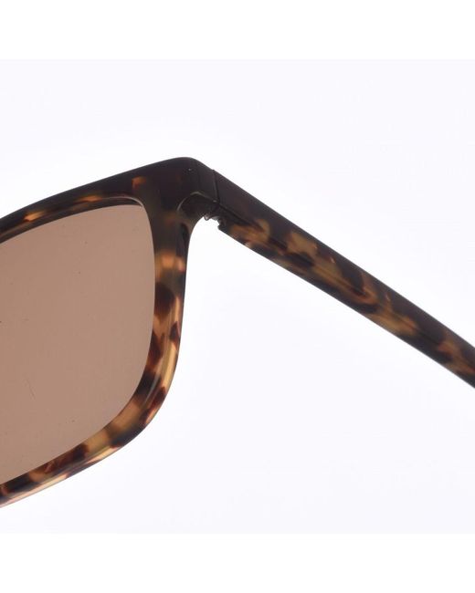 Zen Brown Rectangular Shaped Acetate Sunglasses Z445 for men
