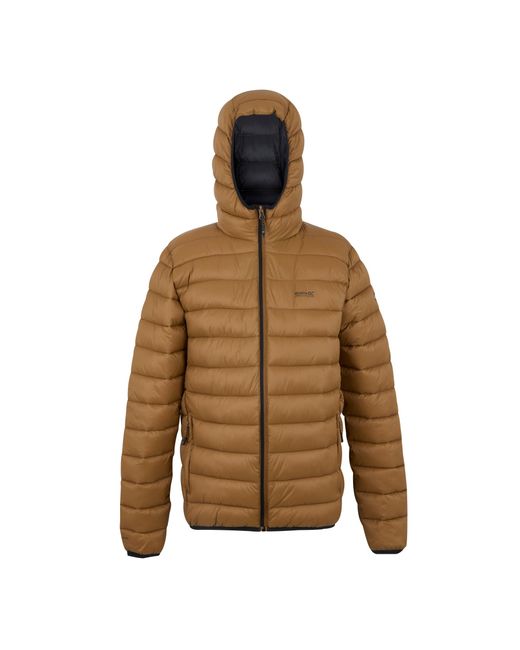 Regatta Brown Marizion Baffled Hooded Padded Jacket (Nut) for men