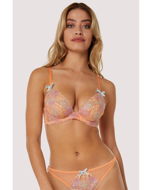Playful Promises Brown Naomi Floral Embroide Plunge Bra