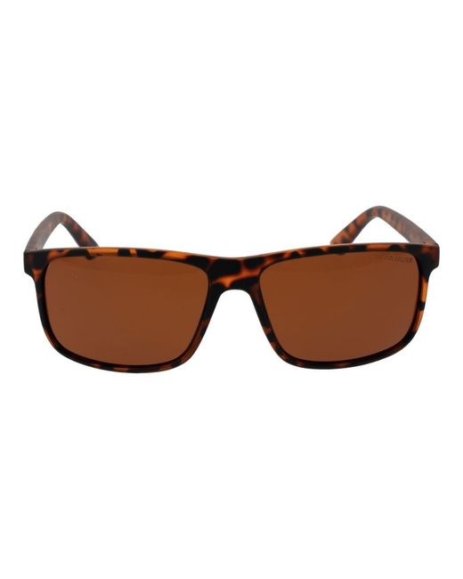 Champion Brown Blue Stainless Steel Sunglasses for men