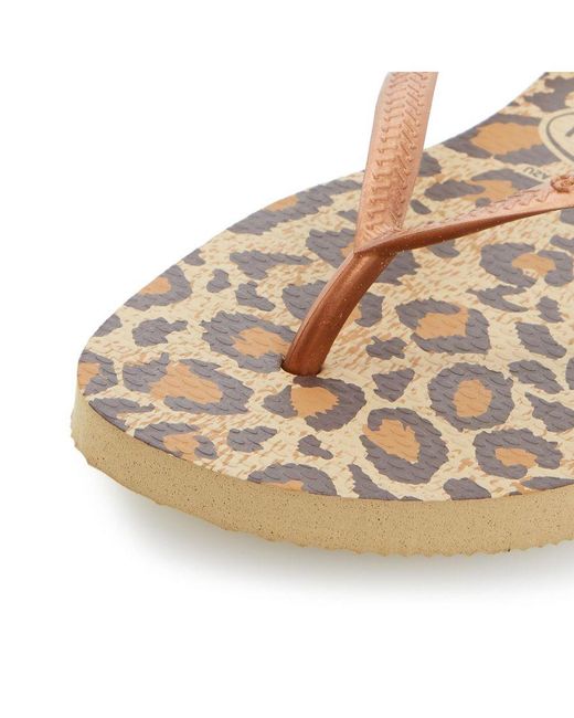Havaianas Brown Ladies