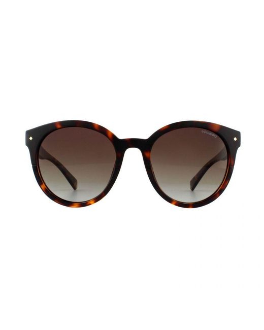 Polaroid Brown Ladies Retro Round Dark Havana Gradient Polarized Sunglasses