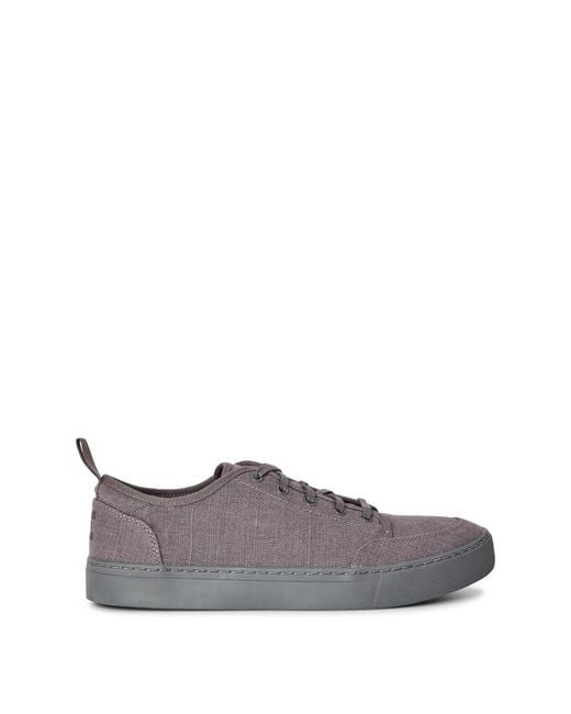 TOMS Purple Sneak for men