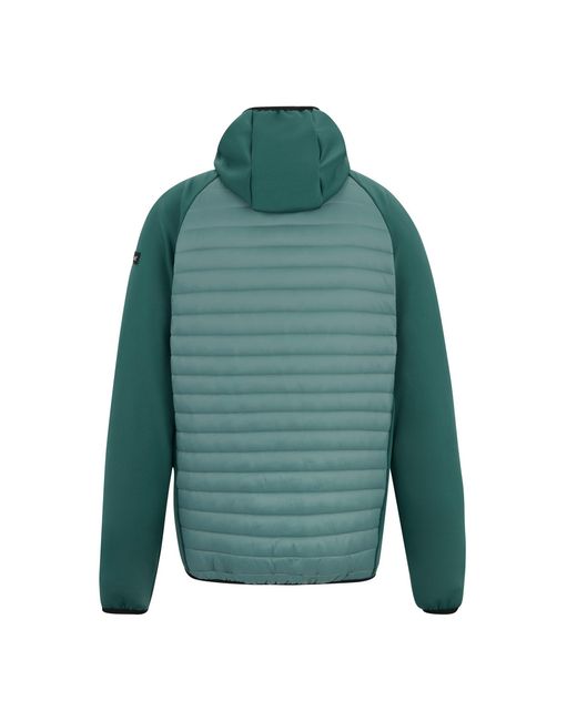 Regatta Green Andreson Hybrid Jacket (Arctic/Mediterranea) for men