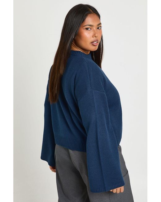 Boohoo Blue Plus Crew Neck Jumper
