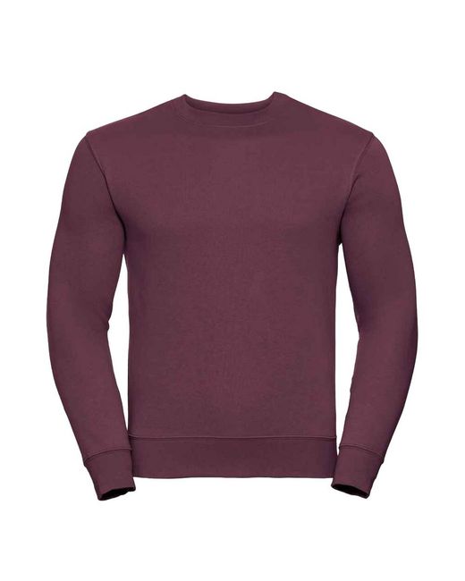 Russell Purple Authentic Sweatshirt for men