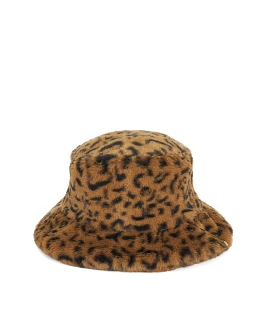 Dune Brown Accessories Fluffyo