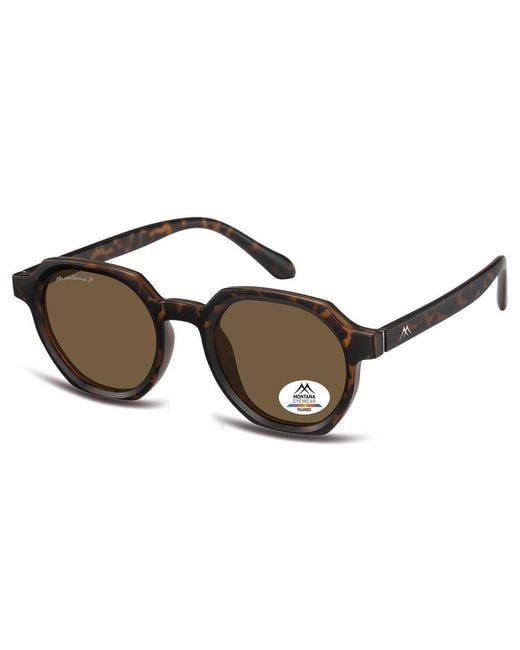 Montana Brown Round Matte Turtle Polarized Mp62