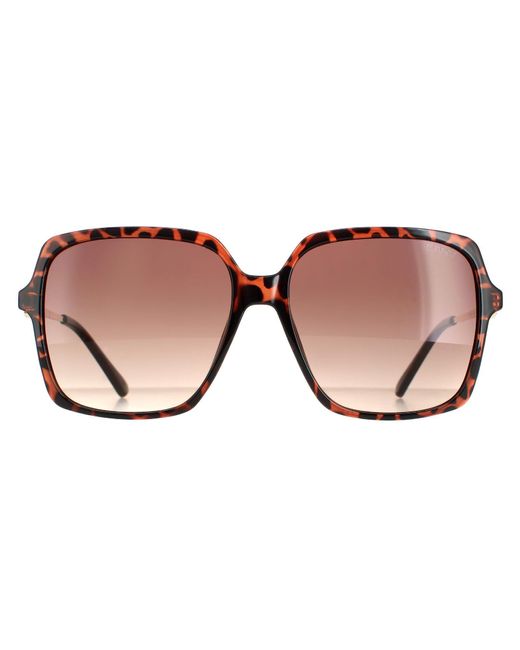Guess Brown Square Dark Havana Gradient Gf6131