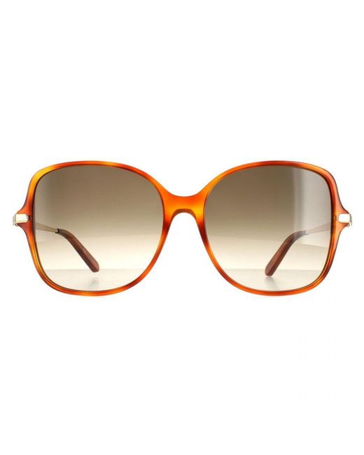 Ferragamo Brown Square Tortoise Gradient Sf990Sr