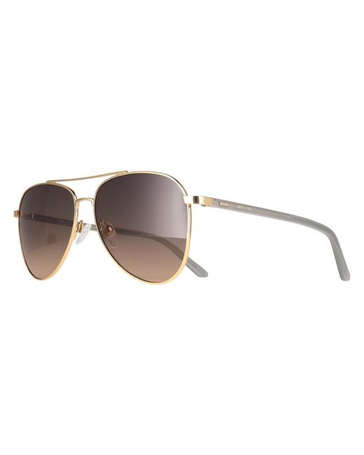 Calvin Klein Brown Aviator Shiny Gradient Ck21306S Metal