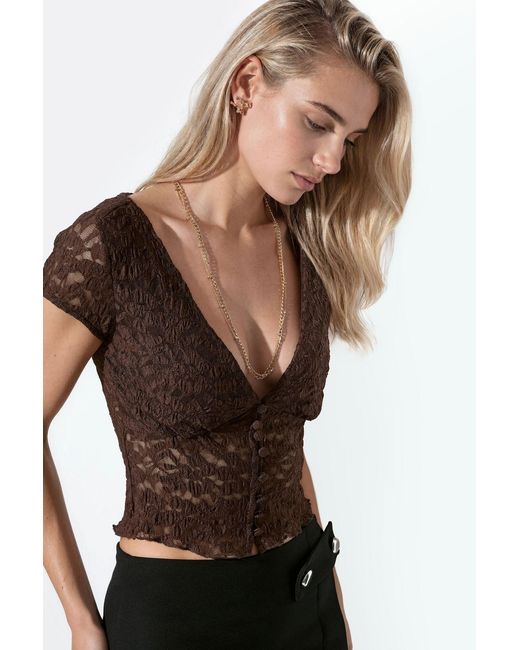 Busem Brown Fitted Lace Crop Blouse With Buttons