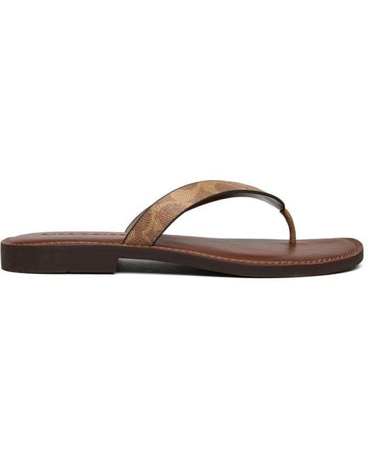 COACH Brown Brianna Sandals