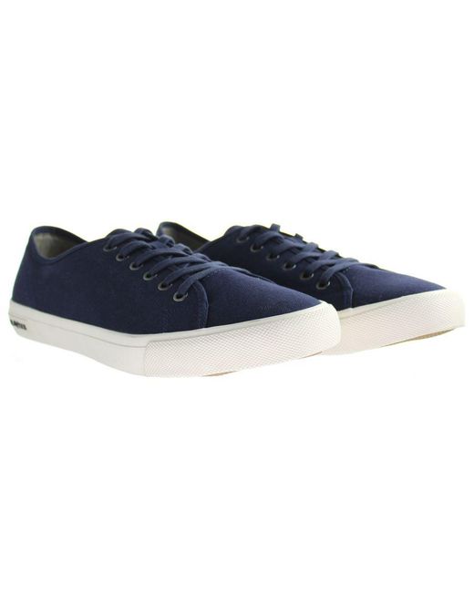 Seavees Blue Monterey Sneaker Standard Shoes Canvas for men