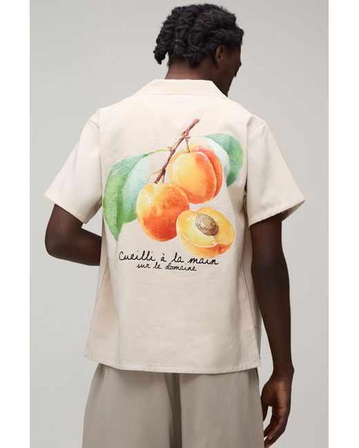 BoohooMAN Gray Regular Fit Fruit Back Print Short Sleeve Shirt for men