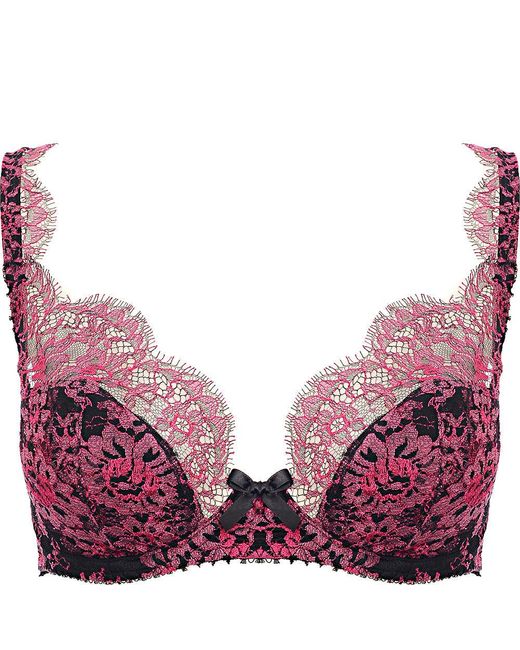 Agent Provocateur Purple Carline Bra Hot