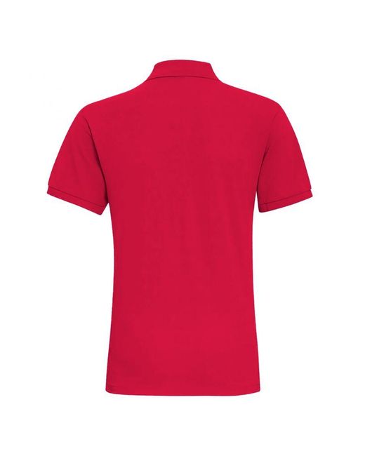 Asquith & Fox Red Plain Short Sleeve Polo Shirt (Cardinal) for men